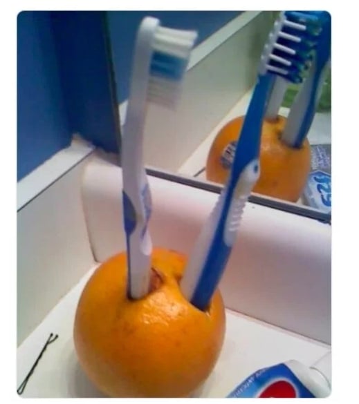 зубные щетки воткнуты в апельсин