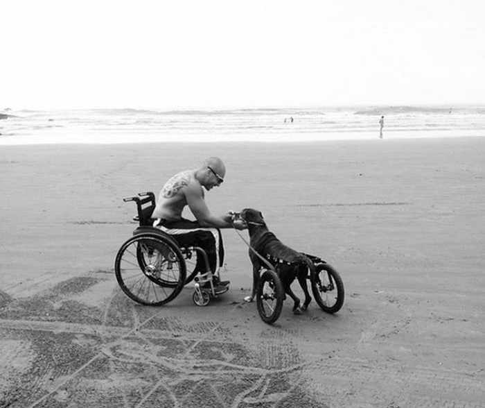мужчина на коляске и его пес-инвалид