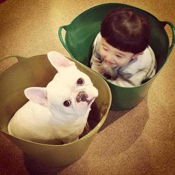 мальчик и собака сидят в ведре