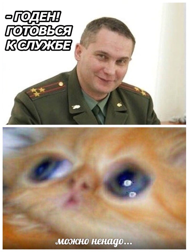 мужчина и рыжий котенок