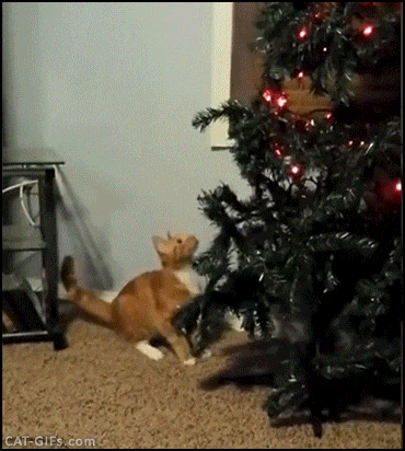 рыжий кот завалил елку