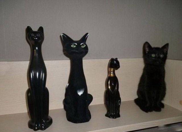 черный котенок сидит рядом со статуэтками черных кошек