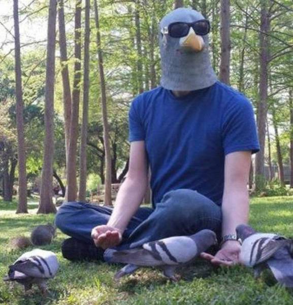 парень в маске голубя кормит голубей