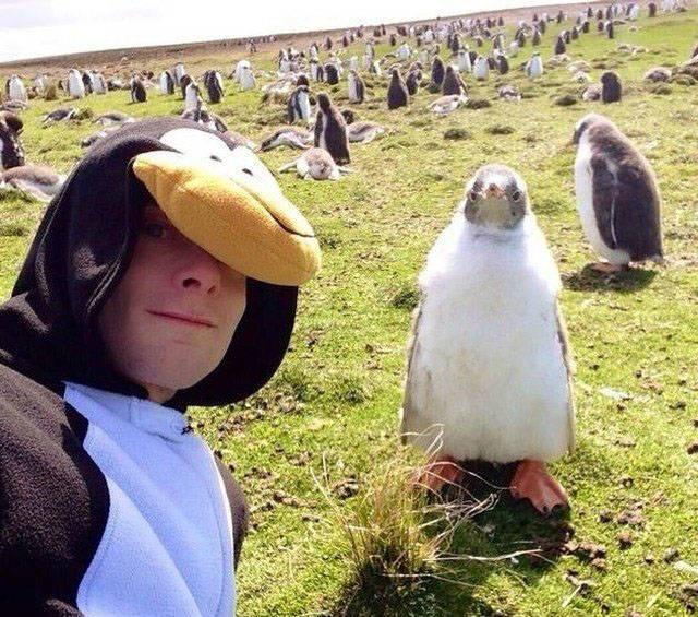 парень в костюме пингвина