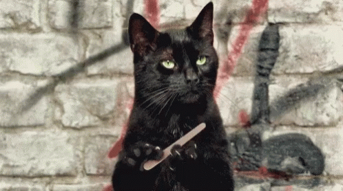 черная кошка с пилочкой для ногтей
