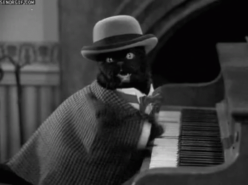 черный кот в шляпе играет на пианино