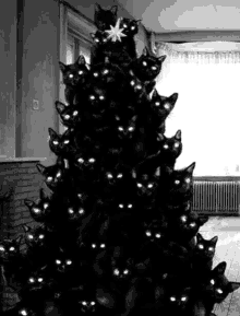 елка из черных котов