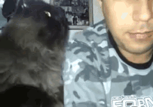 черная кошка трогает парня за лицо