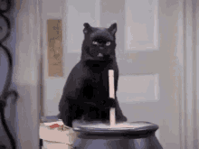 черный кот варит зелье