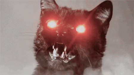 черный кот со светящимися глазами