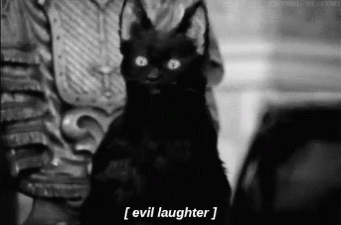 черный кот смеется