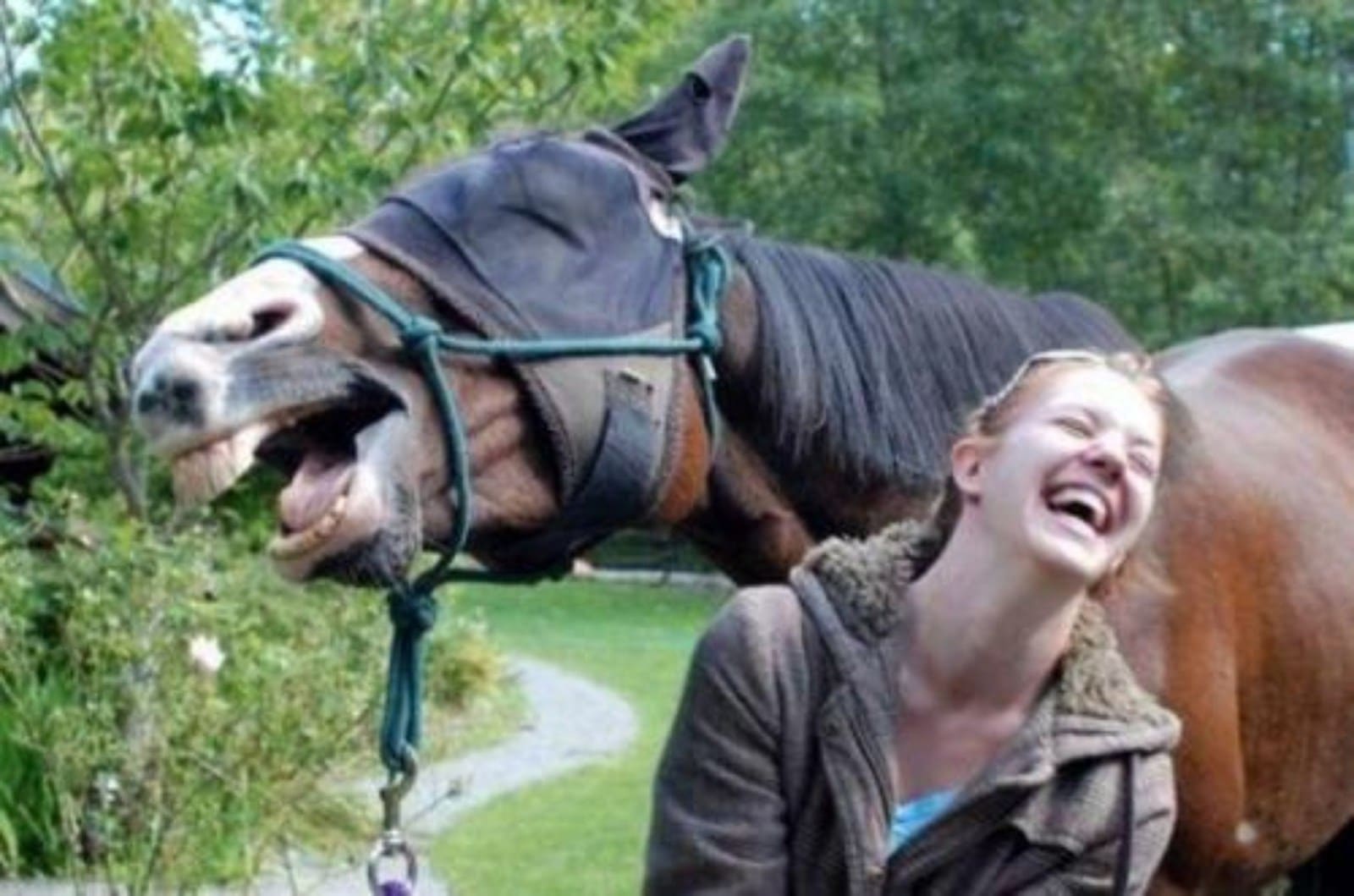 девушка рядом с лошадью