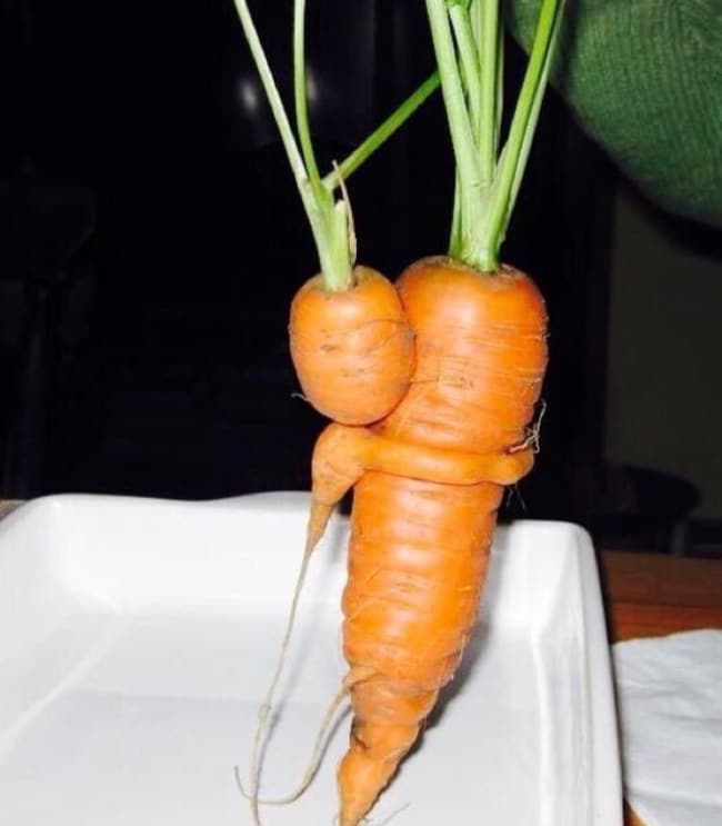 необычная морковка