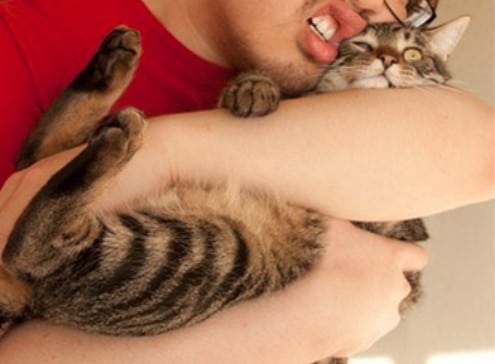 парень обнимает полосатого кота