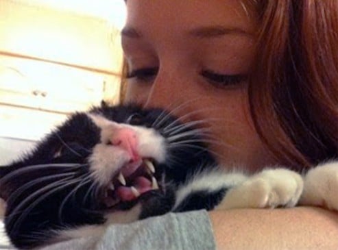 девушка целует черно-белого кота