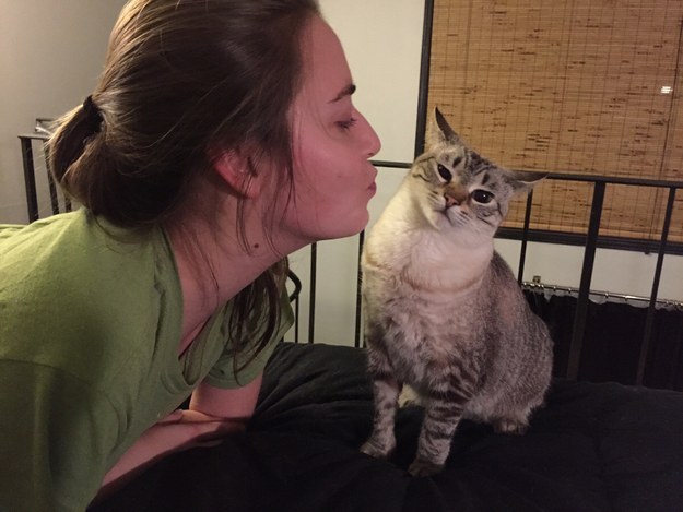девушка хочет поцеловать кота