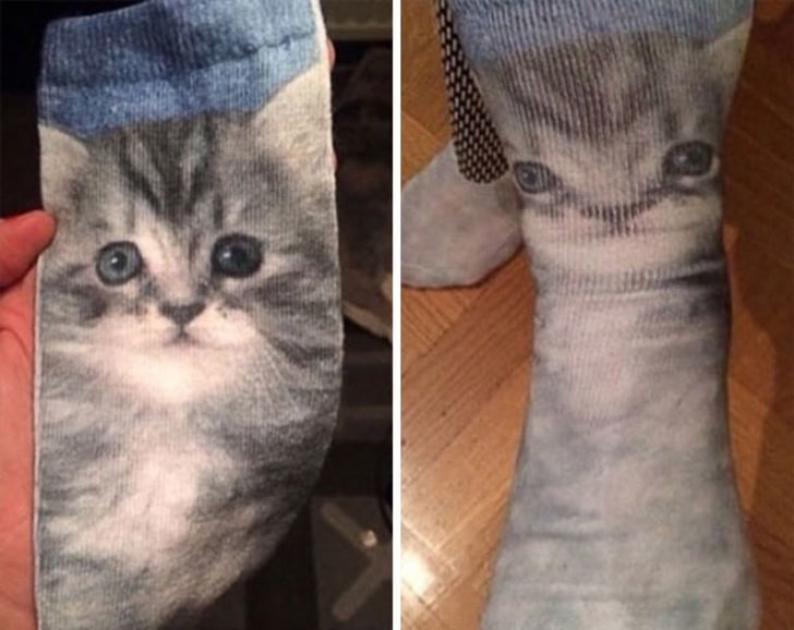 носки с котиками