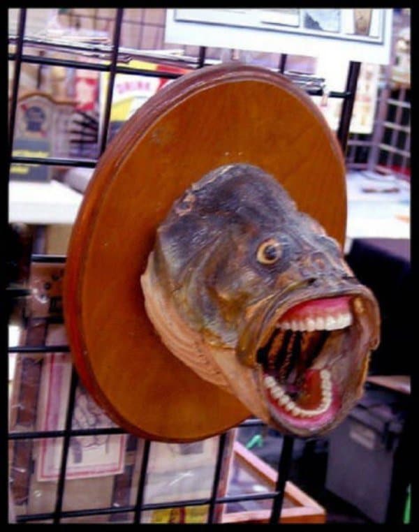 голова рыбы