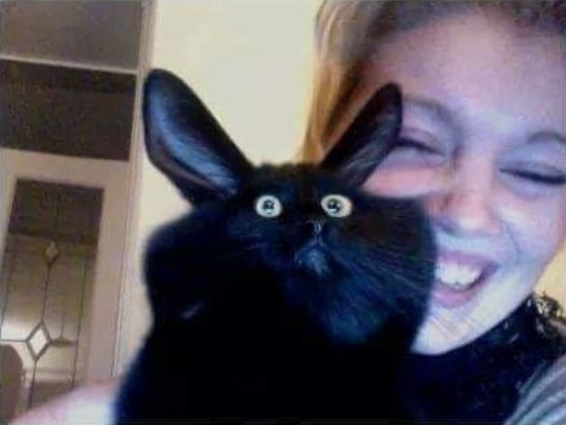 девушка с черным котом на руках