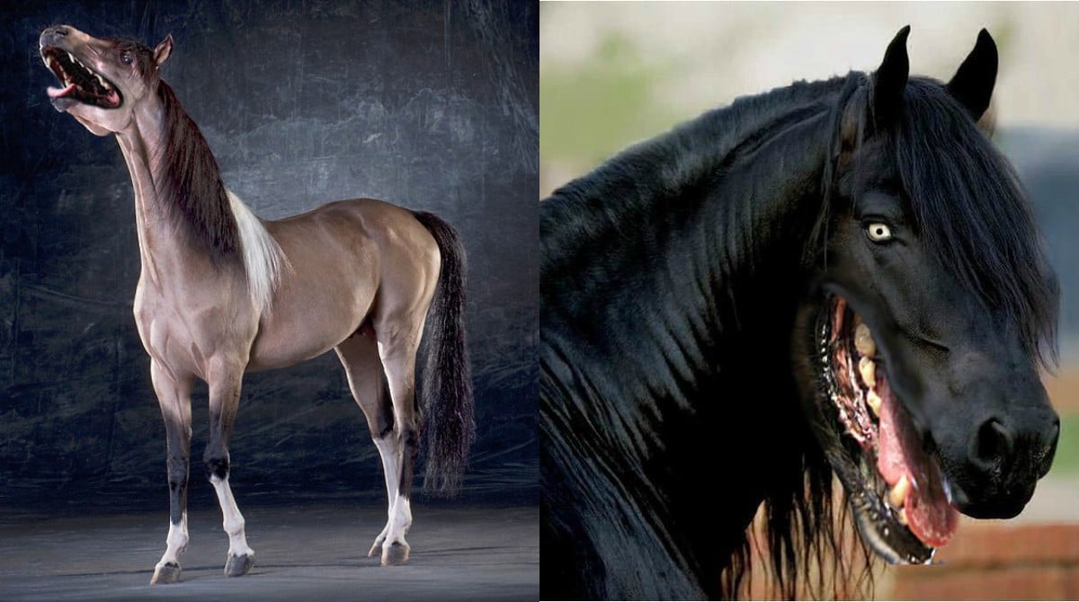 Самые страшные лошади в мире фото