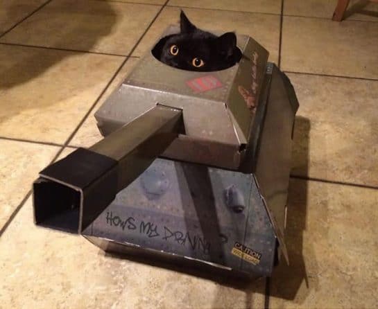 Кот на танке фото