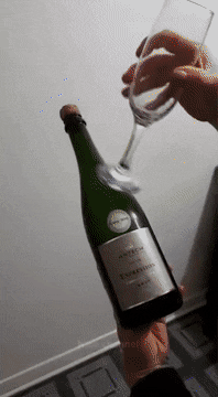 бокалом по бутылке шампанского
