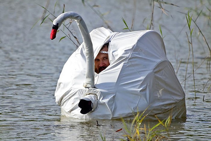 Фотограф в костюме лебедя на озере