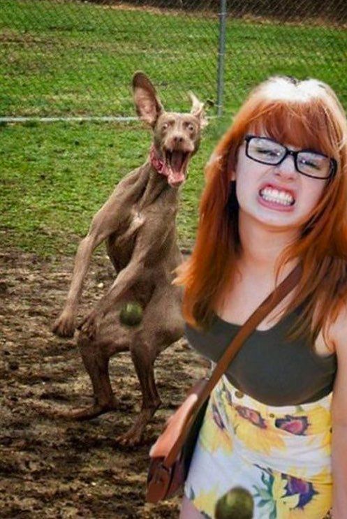 рыжеволосая девушка в очках и собака