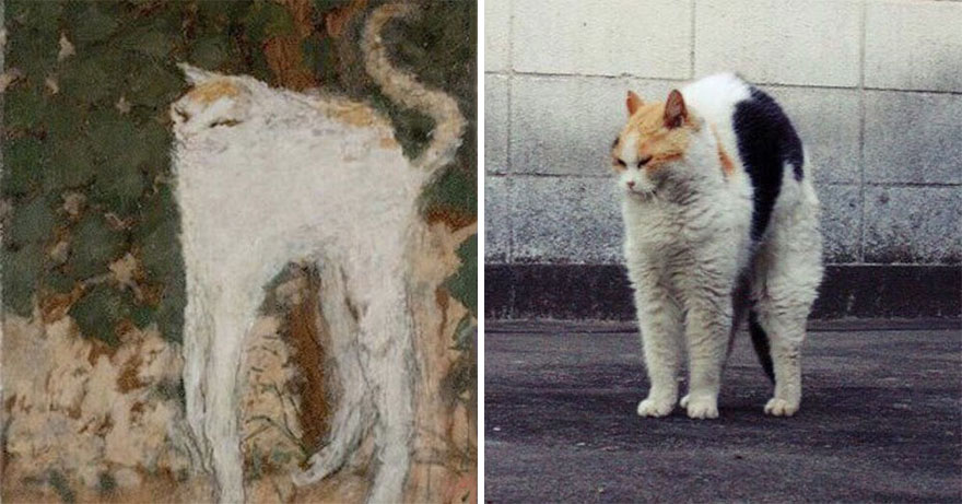пьер боннар белый кот
