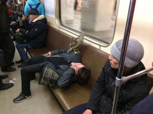 люди в метро