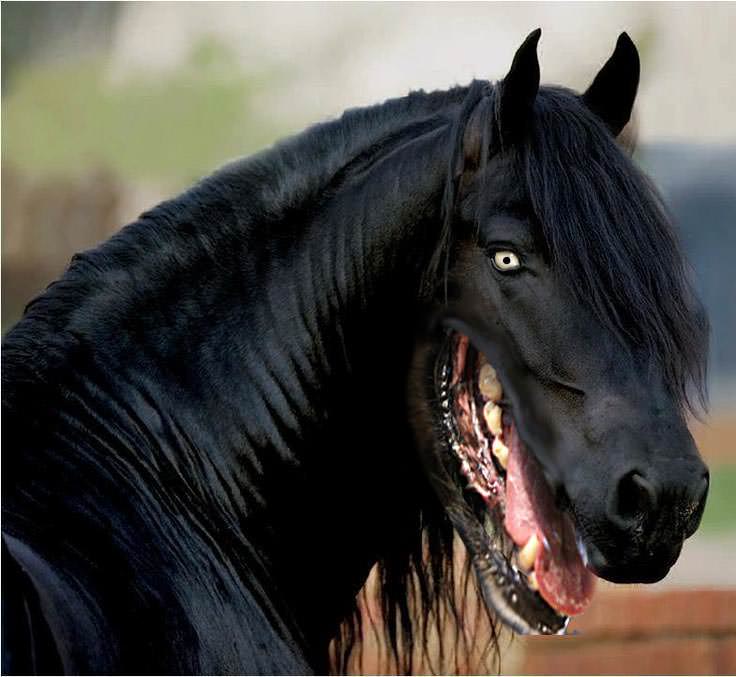черный конь со ртом собаки