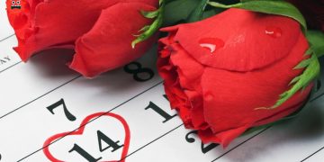 red roses lay on the calendar with the date of February 14 Valentine's day