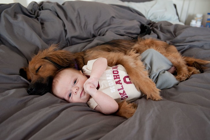 собака спит в обнимку с ребенком