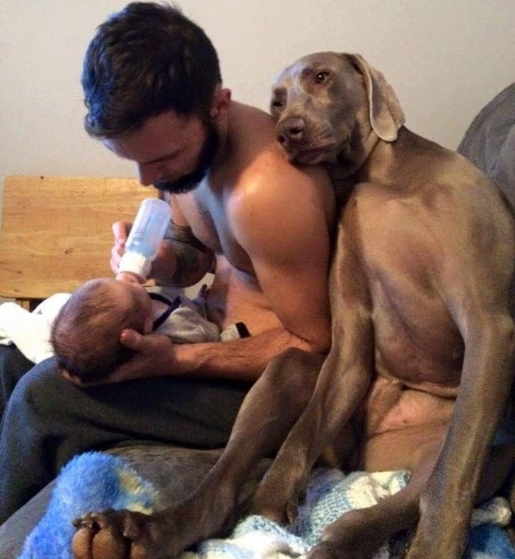 собака рядом с мужчиной и ребенком