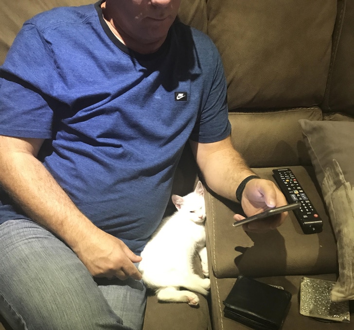 мужчина с белым котом на диване