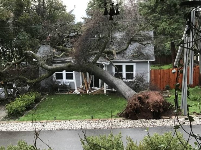дерево упало на дом