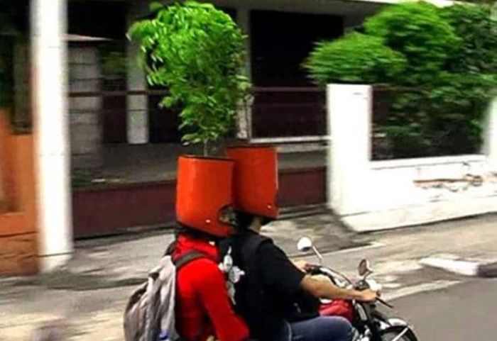 шлемы цветочные горшки