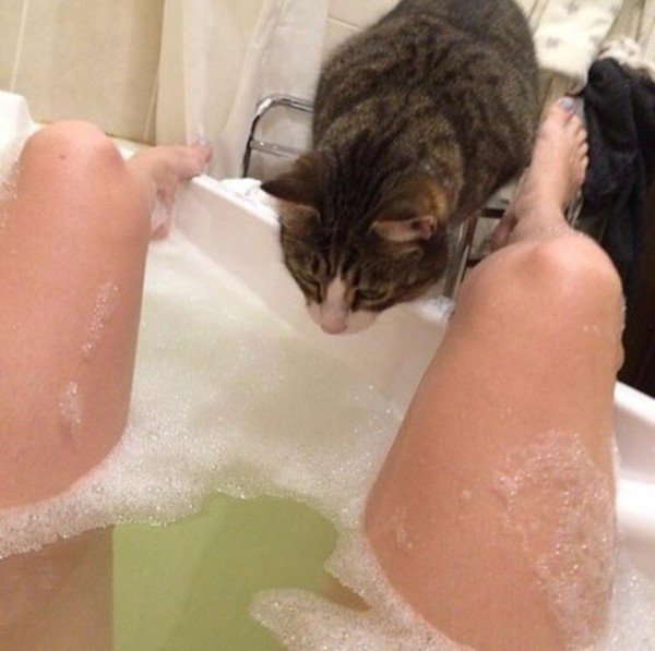 кот сидит на ванне с водой