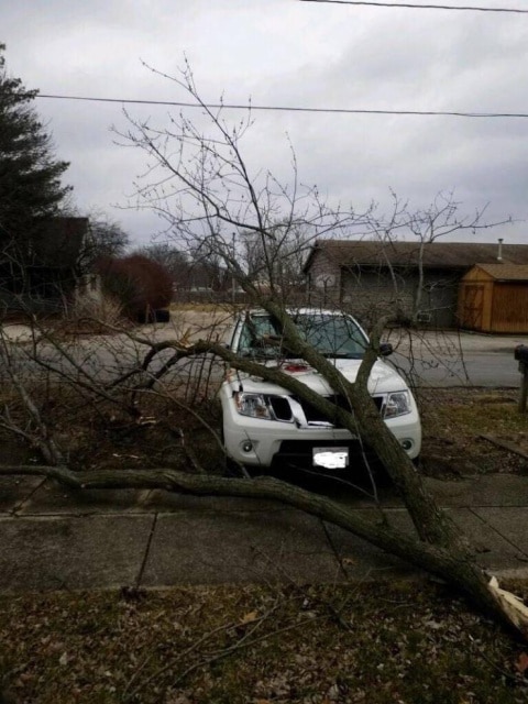 дерево упало на машину