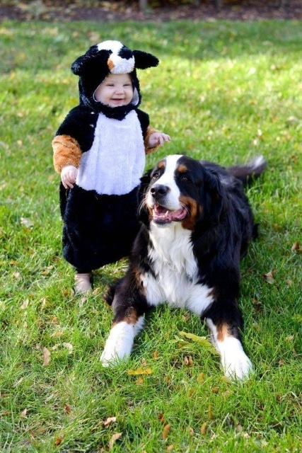 ребенок и пес