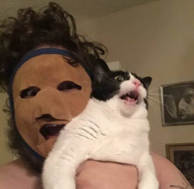 кот на руках у женщины в маске