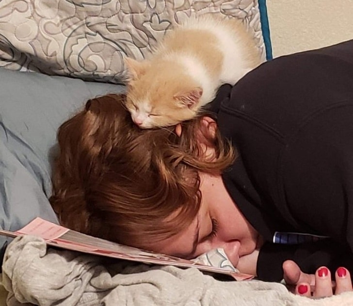 котенок спит на голове у девочки