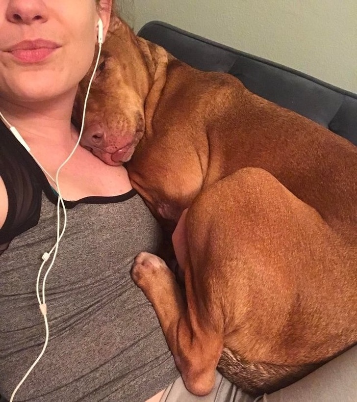 собака спит на груди у девушки
