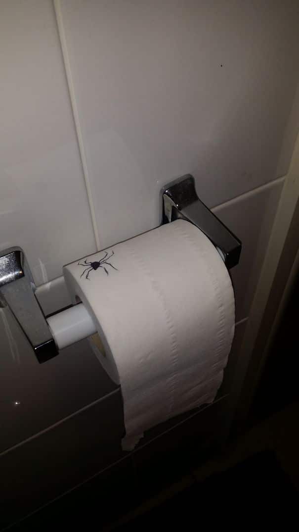 паук нарисованный на туалетной бумаге