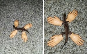 ящерица с кукольными руками на лапах
