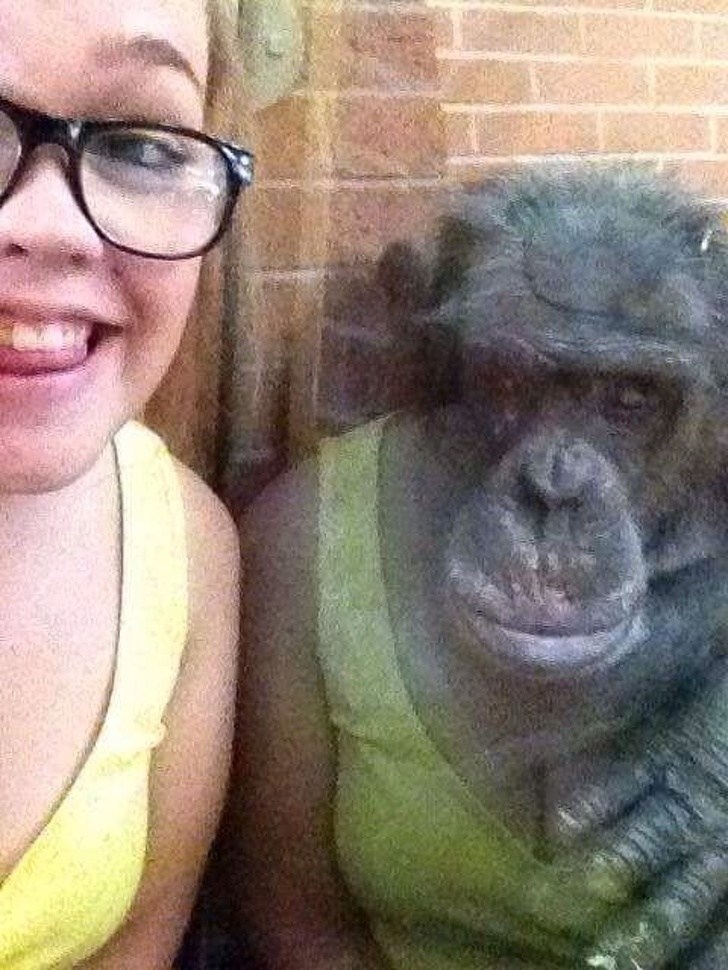 девушка и горилла