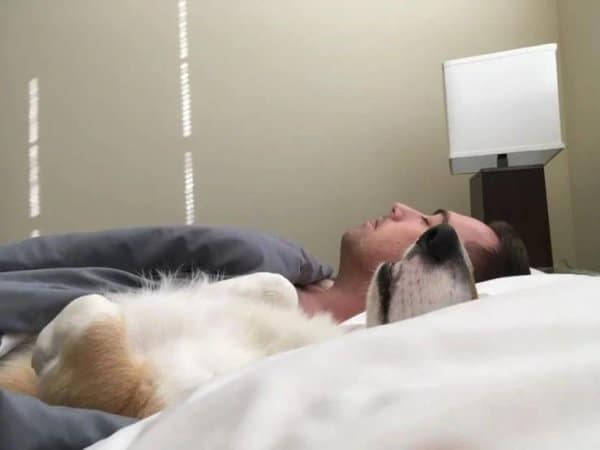 парень и собака спят на кровати
