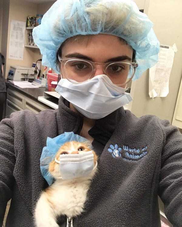 девушка и кот в медицинских масках