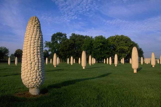 памятник кукурузе в поле
