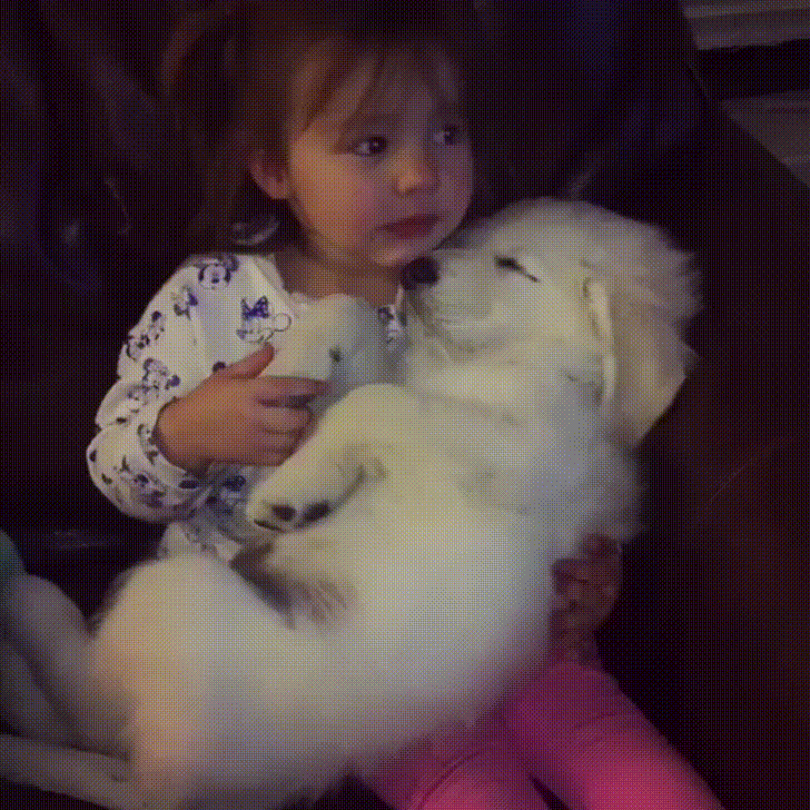 девочка обнимает щенка